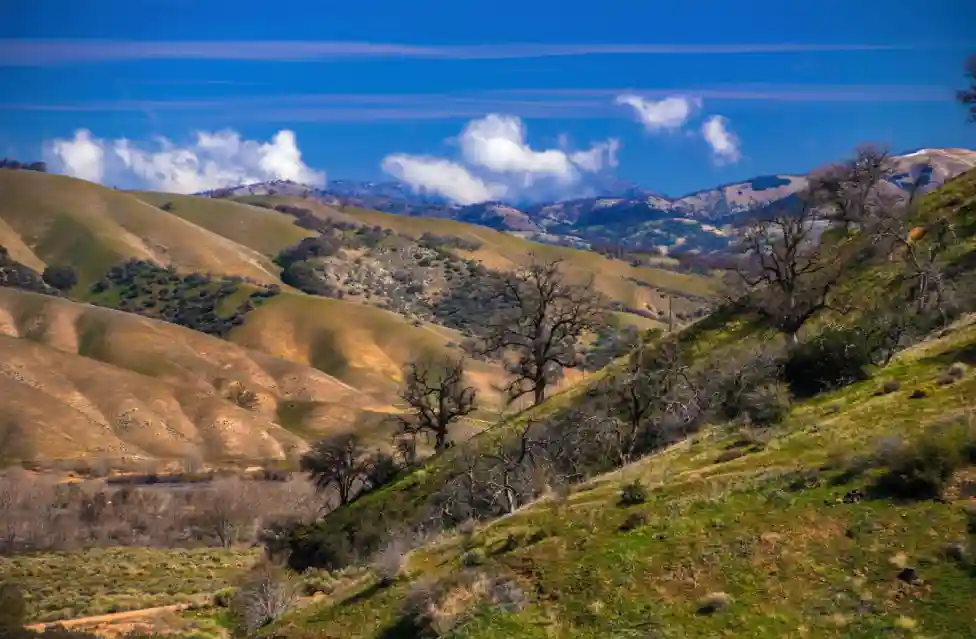 How to Get from Los Angeles to Tejon Ranch: Best Routes